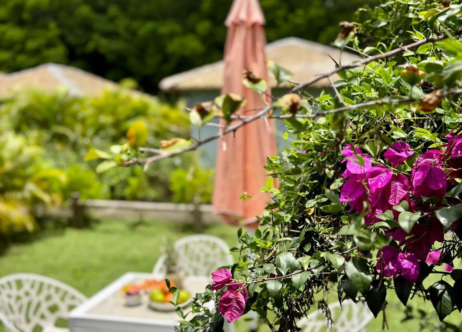 Lejlighed La Ruche De Maia - Piscine - Jardin - Plage A 100M Grand-Bourg